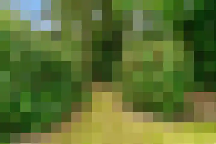 Julianalaan 260 Bilthoven thumbnail 48