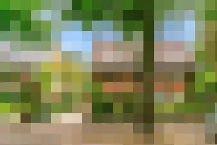 Julianalaan 260 Bilthoven thumbnail 49