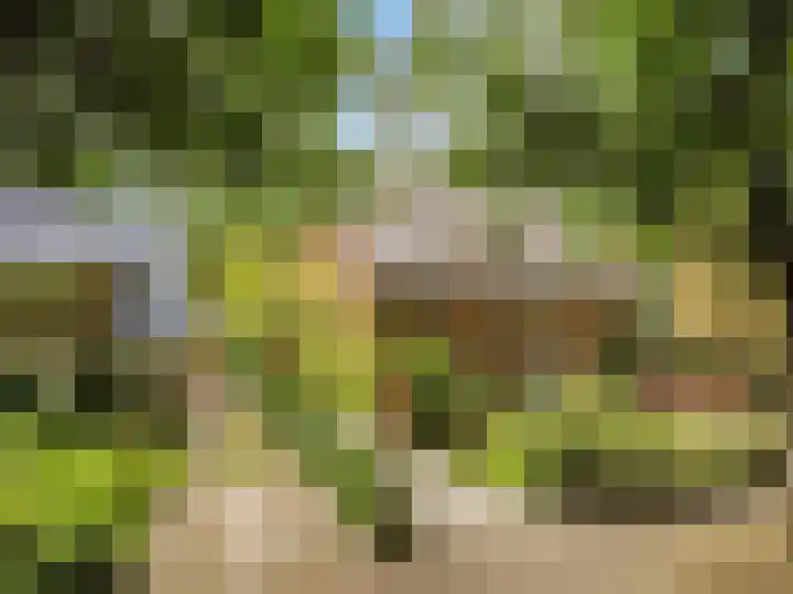 Julianalaan 260 Bilthoven thumbnail 50