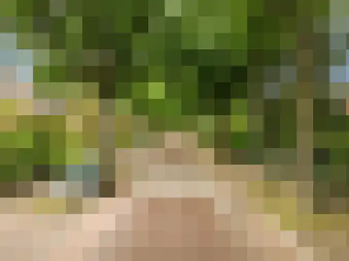 Julianalaan 260 Bilthoven thumbnail 51