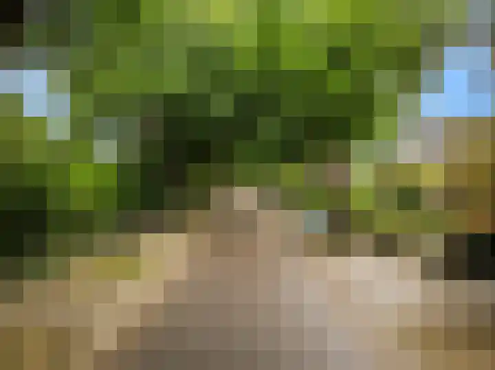 Julianalaan 260 Bilthoven thumbnail 52