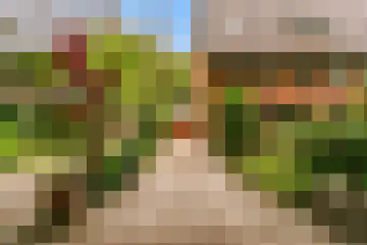 Julianalaan 260 Bilthoven thumbnail 62