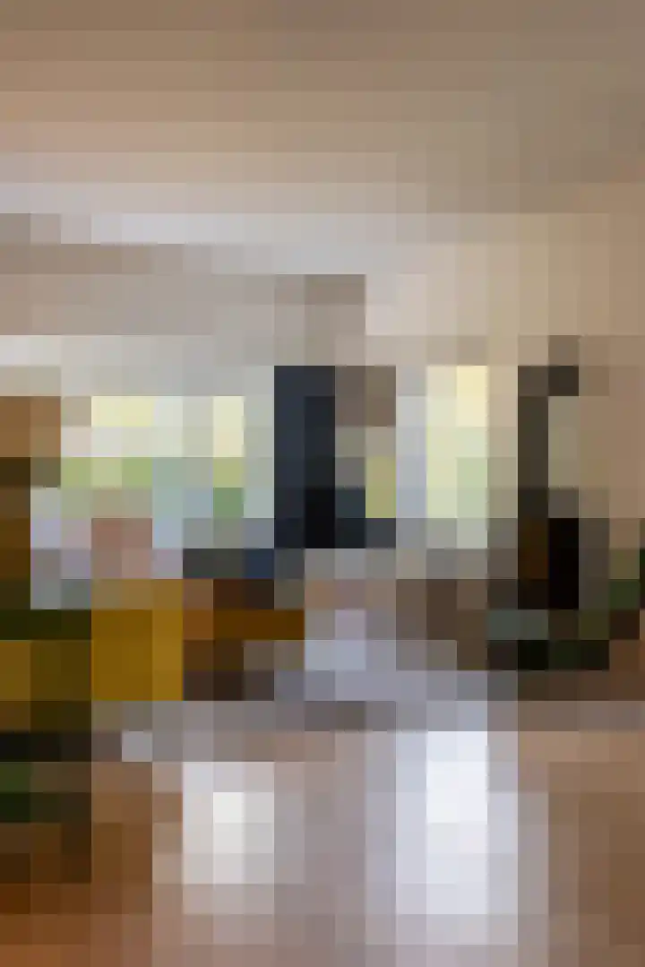 Julianalaan 261 Bilthoven thumbnail 27