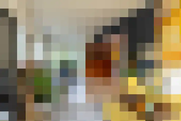 Julianalaan 261 Bilthoven thumbnail 32