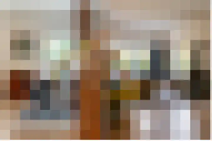 Julianalaan 261 Bilthoven thumbnail 35