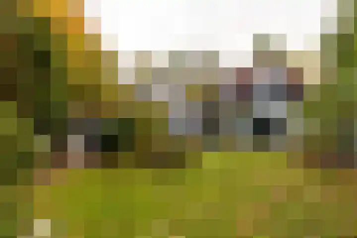 Julianalaan 261 Bilthoven thumbnail 4