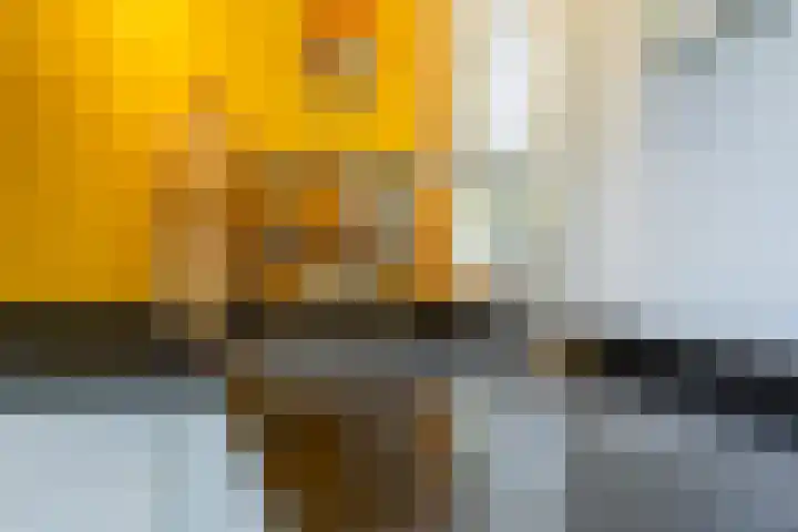 Julianalaan 261 Bilthoven thumbnail 42