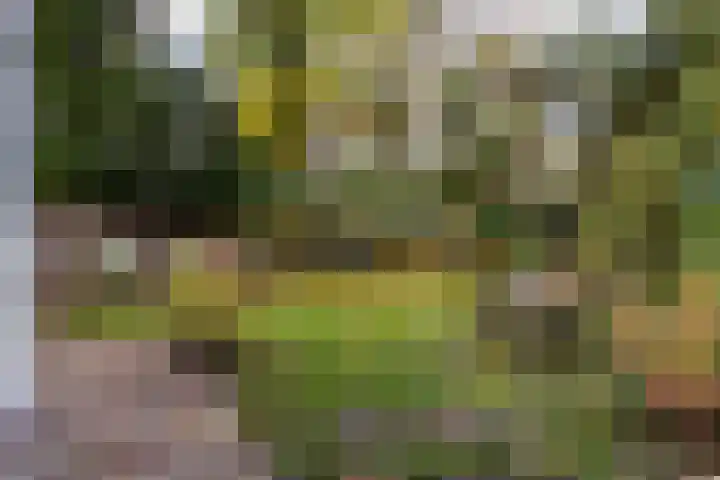 Julianalaan 261 Bilthoven thumbnail 46