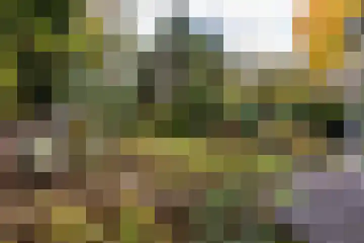 Julianalaan 261 Bilthoven thumbnail 47