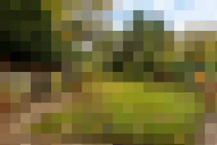 Julianalaan 261 Bilthoven thumbnail 48
