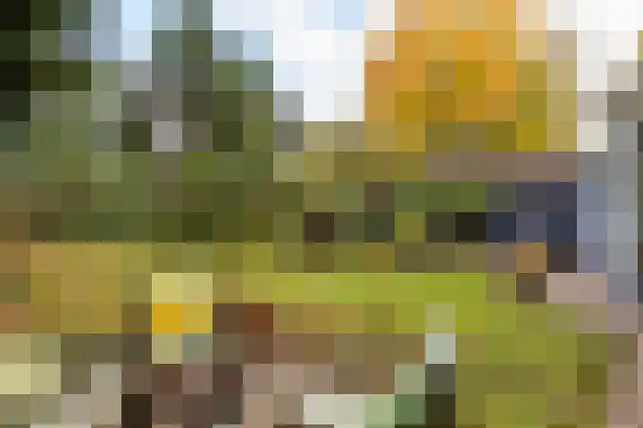 Julianalaan 261 Bilthoven thumbnail 49