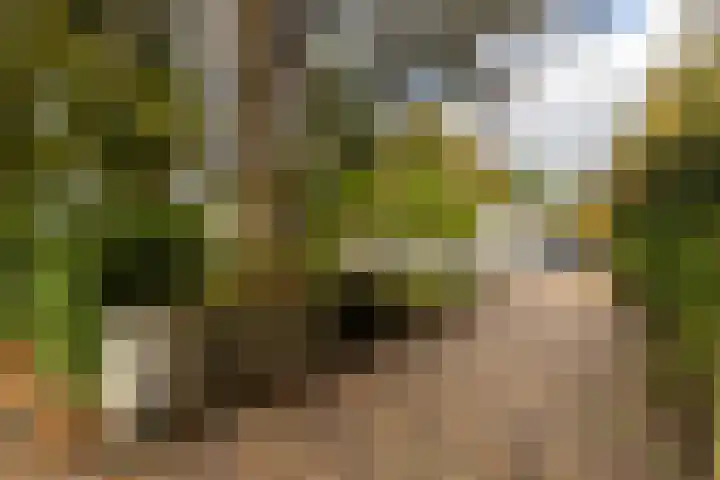 Julianalaan 261 Bilthoven thumbnail 5