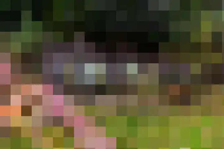 Julianalaan 261 Bilthoven thumbnail 50