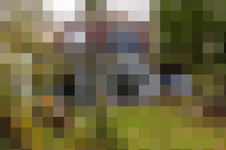 Julianalaan 261 Bilthoven thumbnail 52