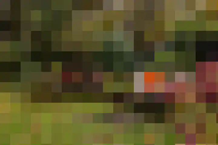 Julianalaan 261 Bilthoven thumbnail 54