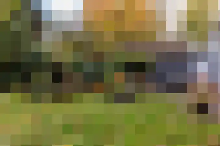 Julianalaan 261 Bilthoven thumbnail 55