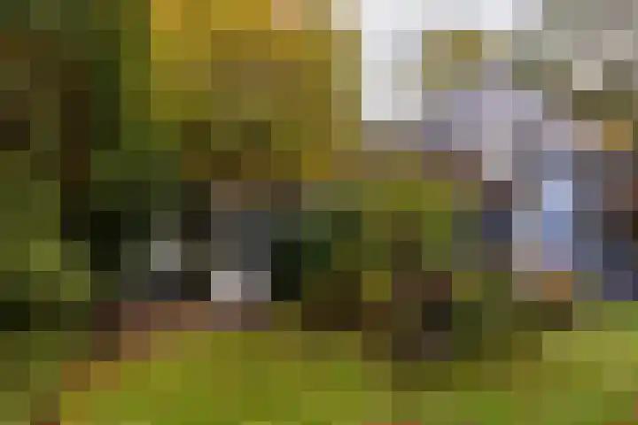 Julianalaan 261 Bilthoven thumbnail 57