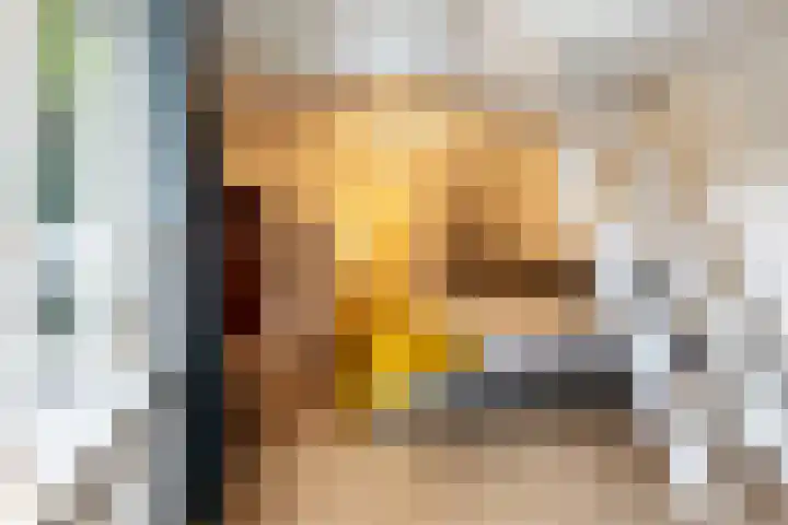 Julianalaan 261 Bilthoven thumbnail 58
