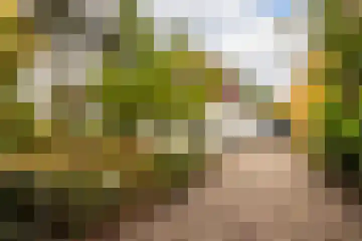 Julianalaan 261 Bilthoven thumbnail 6