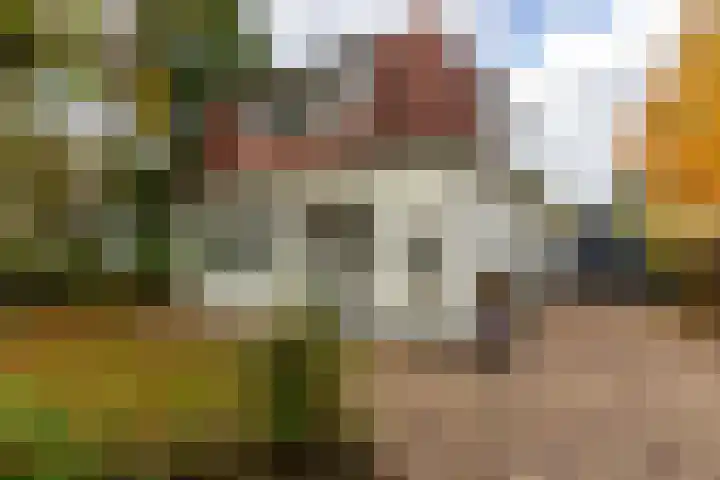 Julianalaan 261 Bilthoven thumbnail 7