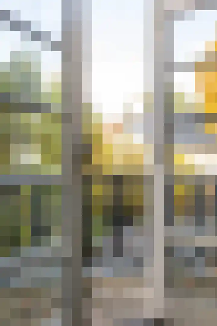 Julianalaan 261 Bilthoven thumbnail 71