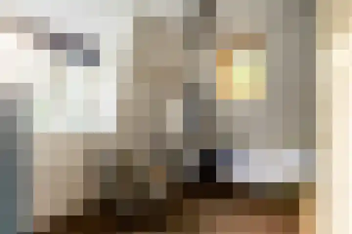 Julianalaan 261 Bilthoven thumbnail 77