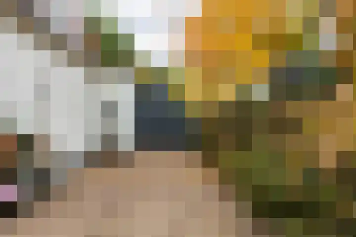 Julianalaan 261 Bilthoven thumbnail 8