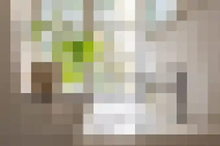 Julianalaan 261 Bilthoven thumbnail 82