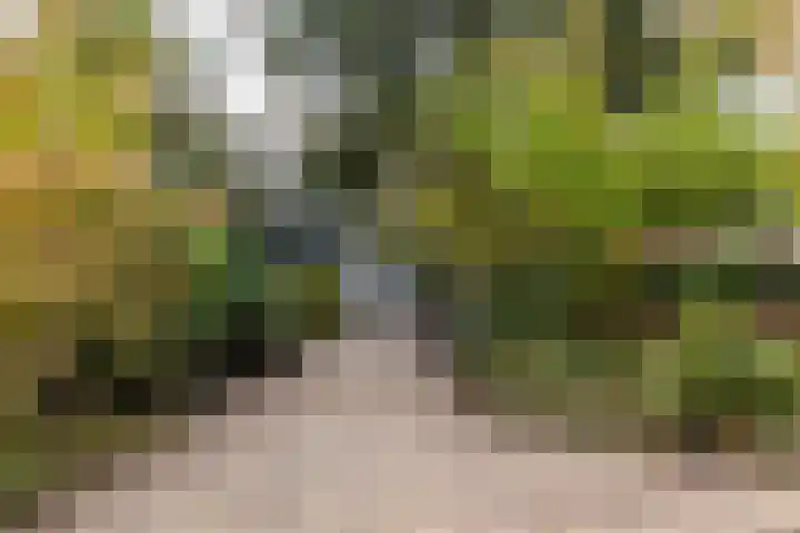 Julianalaan 261 Bilthoven thumbnail 9