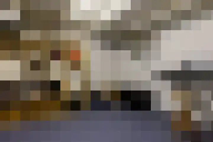 Julianalaan 261 Bilthoven thumbnail 90