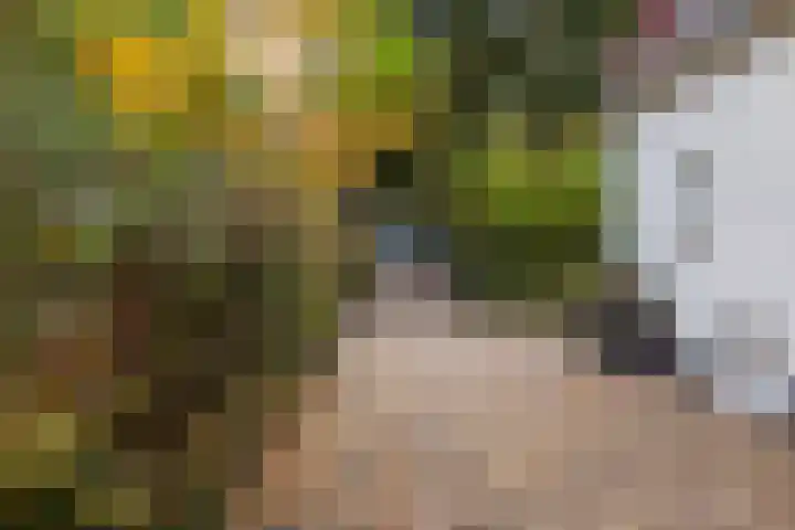 Julianalaan 261 Bilthoven thumbnail 91