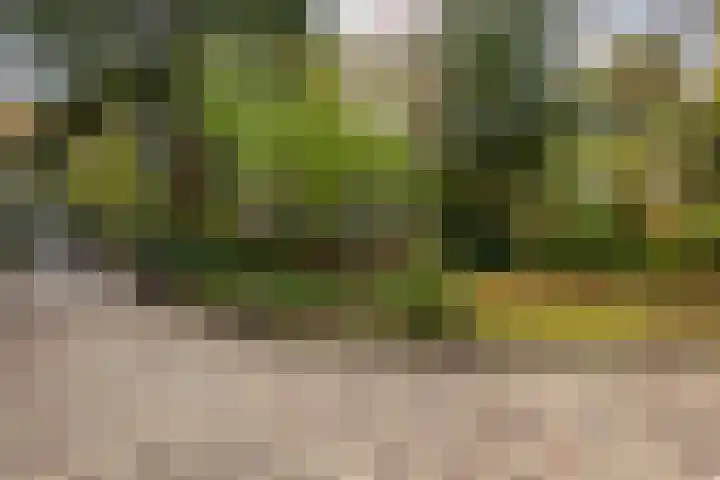 Julianalaan 261 Bilthoven thumbnail 92