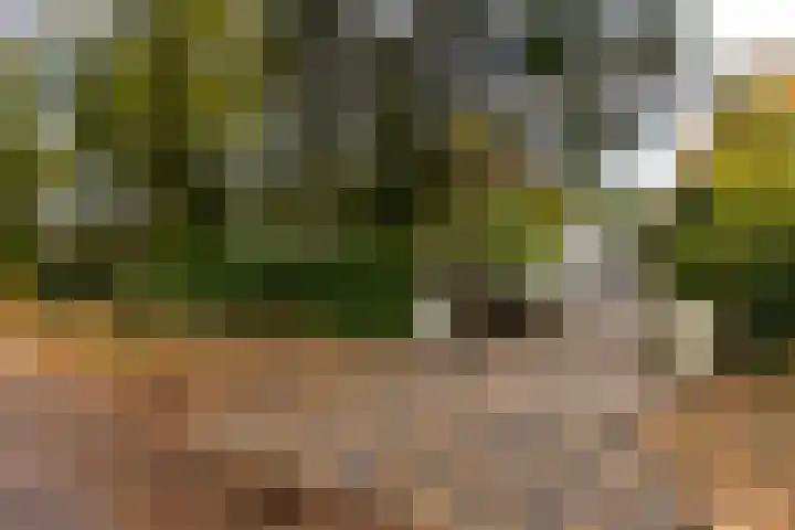 Julianalaan 261 Bilthoven thumbnail 93