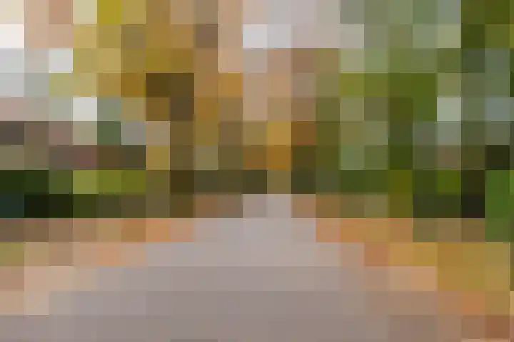 Julianalaan 261 Bilthoven thumbnail 94
