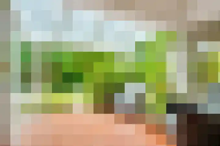 Julianalaan 265 Bilthoven thumbnail 13