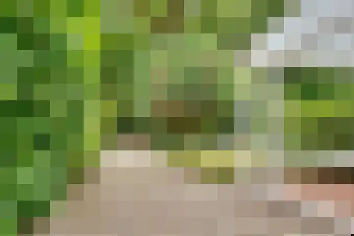 Julianalaan 265 Bilthoven thumbnail 14