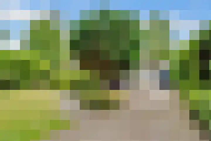 Julianalaan 265 Bilthoven thumbnail 15