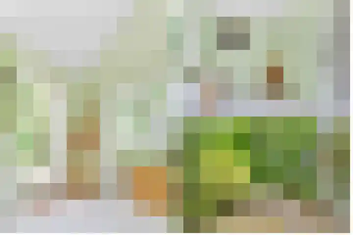 Julianalaan 265 Bilthoven thumbnail 35