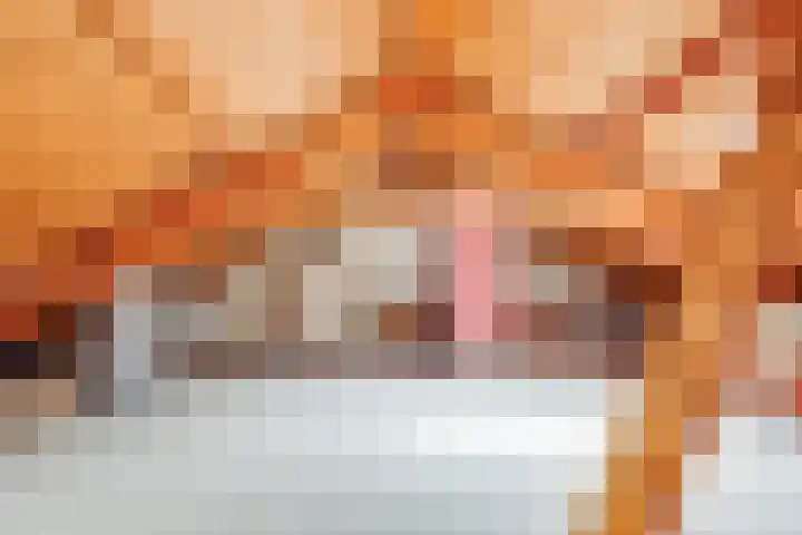 Julianalaan 265 Bilthoven thumbnail 38