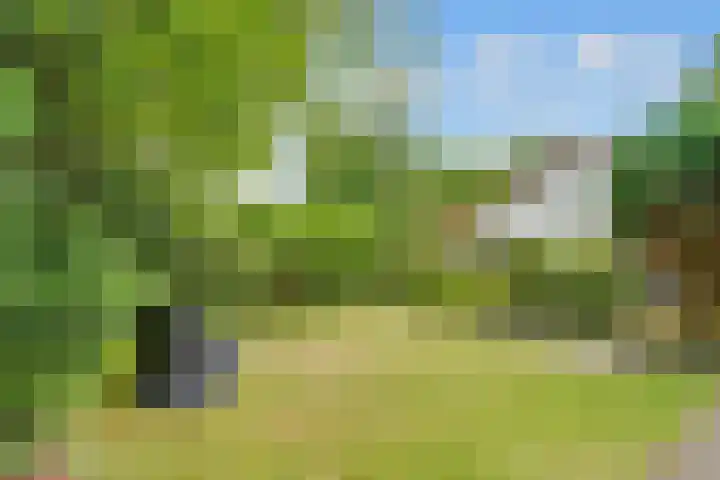 Julianalaan 265 Bilthoven thumbnail 39