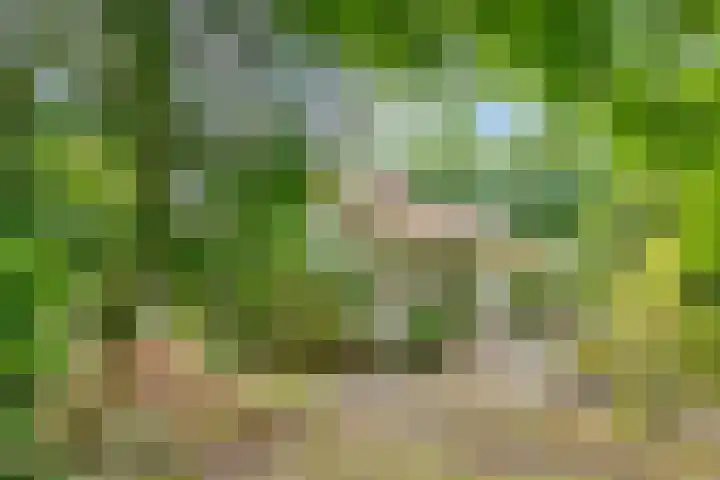 Julianalaan 265 Bilthoven thumbnail 40