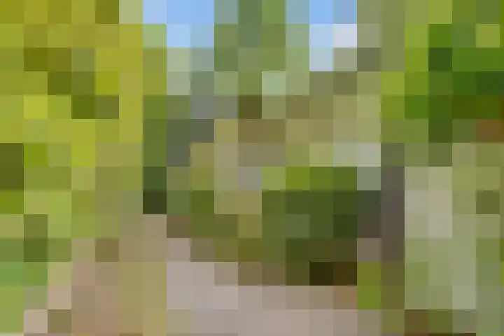 Julianalaan 265 Bilthoven thumbnail 41