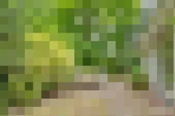 Julianalaan 265 Bilthoven thumbnail 42