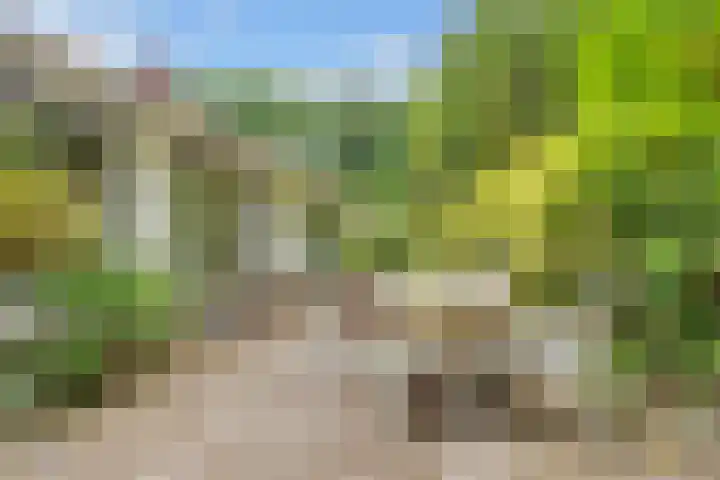 Julianalaan 265 Bilthoven thumbnail 43