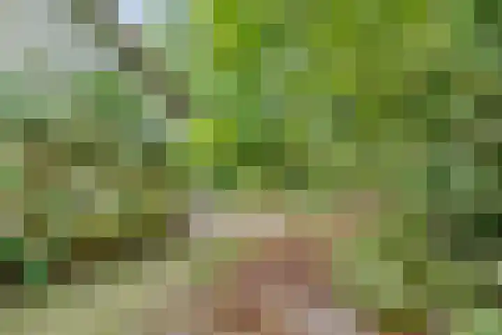 Julianalaan 265 Bilthoven thumbnail 44