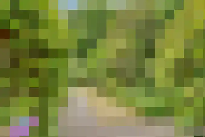 Julianalaan 265 Bilthoven thumbnail 45