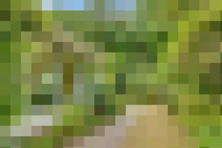 Julianalaan 265 Bilthoven thumbnail 46