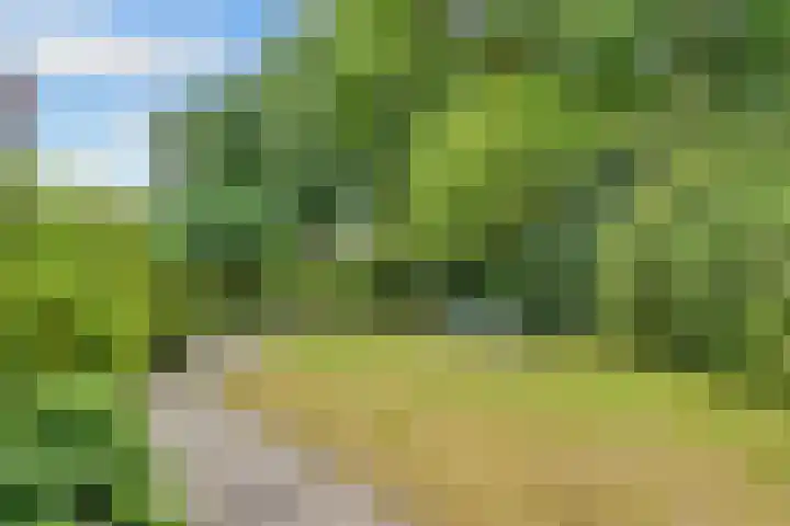 Julianalaan 265 Bilthoven thumbnail 47