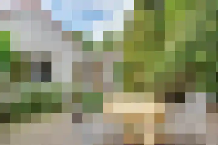 Julianalaan 265 Bilthoven thumbnail 49