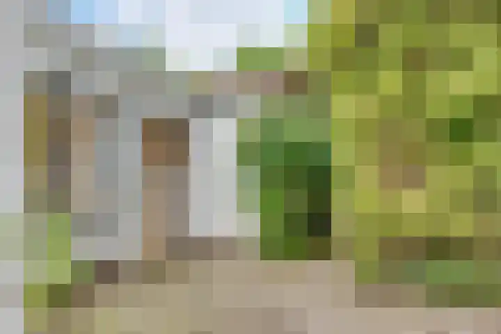 Julianalaan 265 Bilthoven thumbnail 51